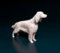 Irish red setter | 3D