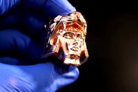 Tigris of Gaul | 3D