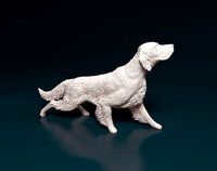 Hunting English Setter | 3D