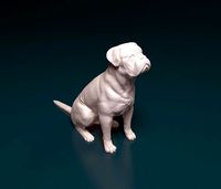 Dogue do Bordeaux | 3D