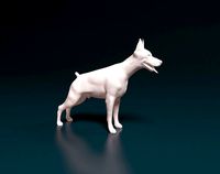Doberman pinscher | 3D