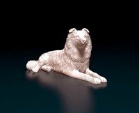 Collie | 3D
