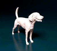 American Foxhound dog | 3D