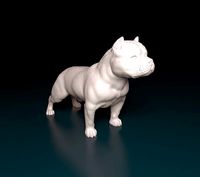 American Bully | 3D