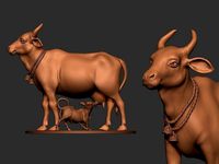 Cow and the Drinking  Calf | 3D