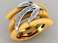 CyC ring | 3D