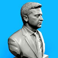 Volodymyr Zelensky Bust | 3D
