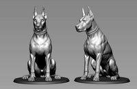Doberman Pinscher | 3D