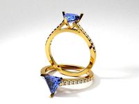 Cathedral Engagement Trillion Straight | 3D