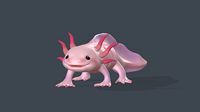 Axolotl | 3D