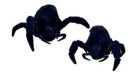 Crab Creature Print Ready | 3D