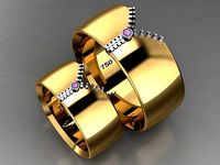 ring set 40 collection1 - zip ring | 3D
