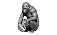 Ape Monkey Gorilla Chimp | 3D