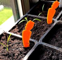 Artsy seed stick indicators  10 different types | 3D