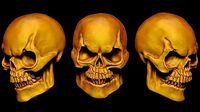 SKULL SKELETOR | 3D