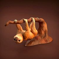 Baby Sloth for 3D Printing | 3D