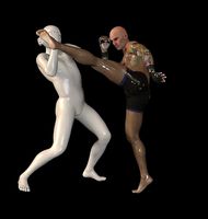 MMA UFC MAN 1 | 3D