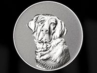 Golden Retriever dog relief  | 3D