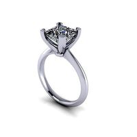 Pricess Verragio Diamond Ring | 3D