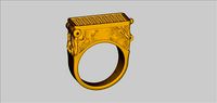 NATURAL RING HUNTER | 3D
