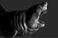 Great White Shark in High Poly | 3D