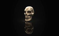 Skull