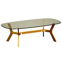 Elke Rectangular Glass Coffee Table with Brass Base