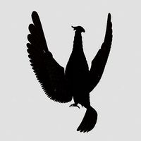 bird of Khumo