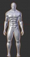 Muscular Male anatomical correct 3D Model