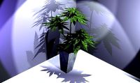 VideoGAME  Cannabis 3D model