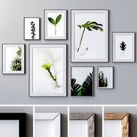 Photo Frames Set 298