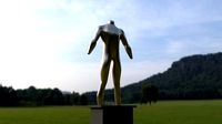 Male Body