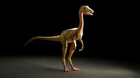 Compsognathus