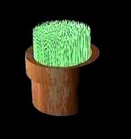 plant pot