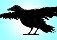 Raven Rig