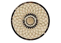 Medallion flooring coloring 3ds file for Rhinoceros 3dsmax 3ds