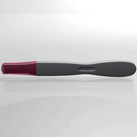 Pregnancy Test 01