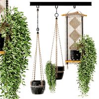 Indoor Plants in rusty Concrete Pot with Macrame - Set 3