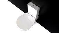 Toilet Meridian ROCA