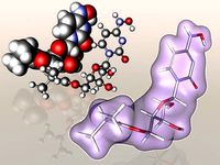 Molnupiravir molecule