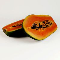 Papaya 3d scan