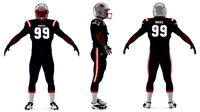 New England Patriots American Football Player Fur