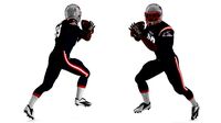 New England Patriots Football Player Running The Ball Fur