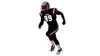 New England Patriots American Football Player Rigged Fur