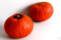 Pumpkin 002