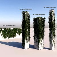 Realistic High Poly Hanging Ivy