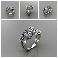 Ring 006