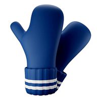 Winter Mitten or Gloves