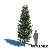 yamaboushi tan 4500 a