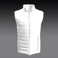 baloon jacket